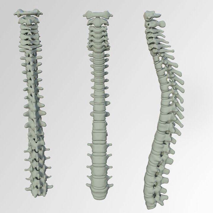 Esquema de la columna