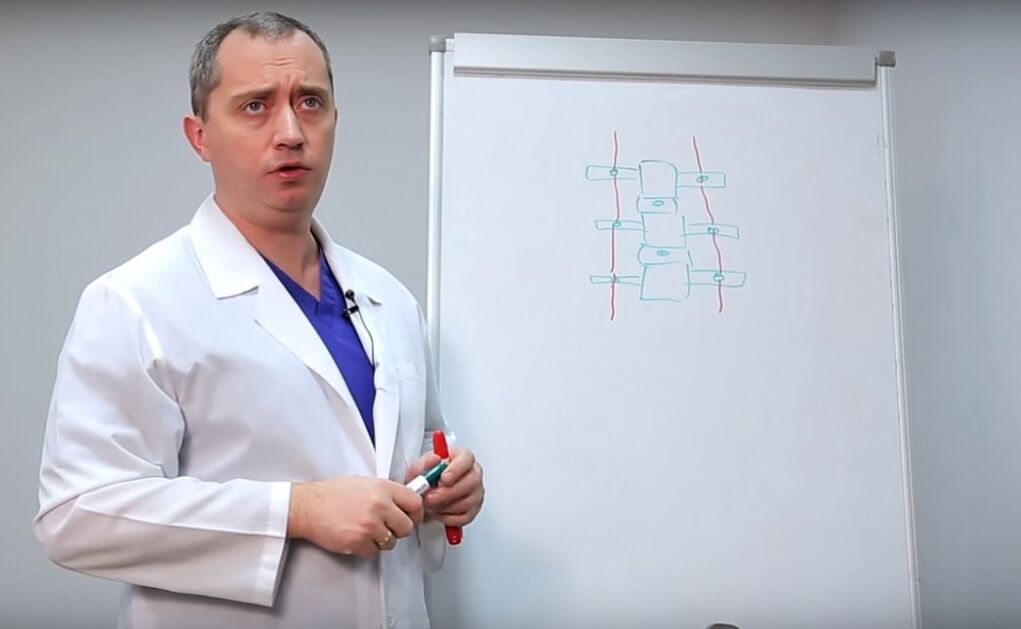 El médico muestra la estructura de la columna vertebral